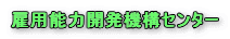�ٗp�\�͊J���@�\�Z���^�[